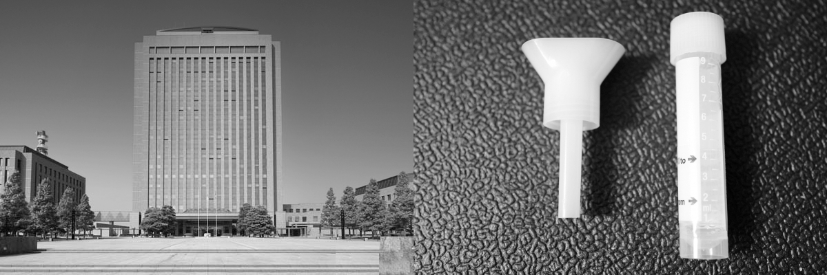 f:id:seege:20201213053340p:plain