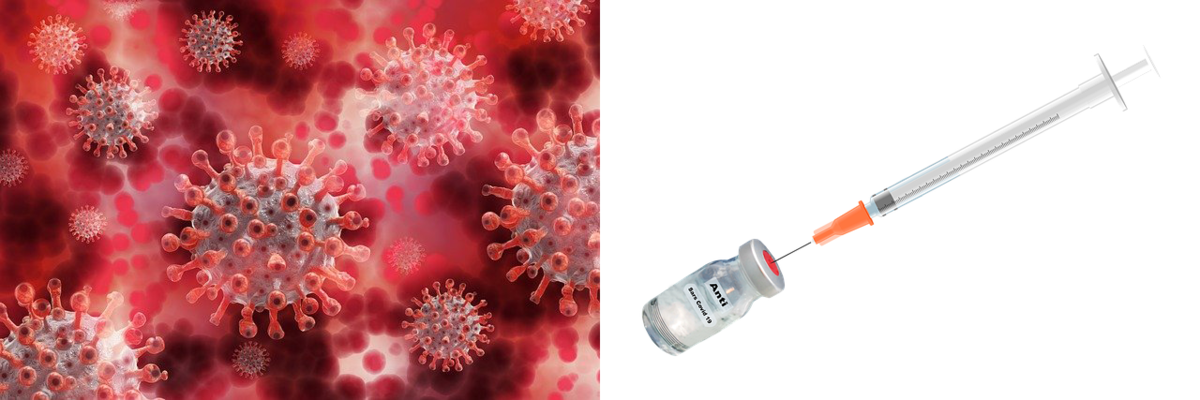 f:id:seege:20201217062700p:plain