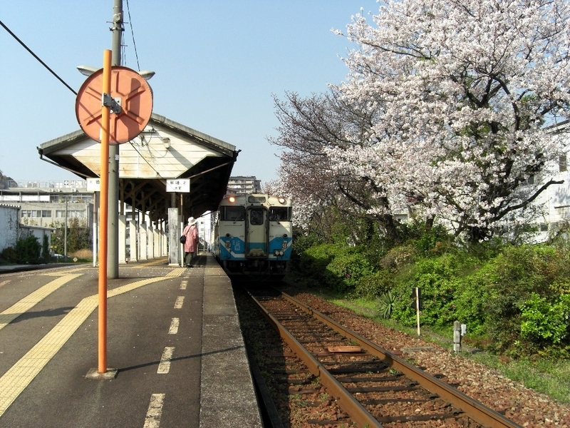 桜のある鉄道写真 JR四国 - JR撮影日記