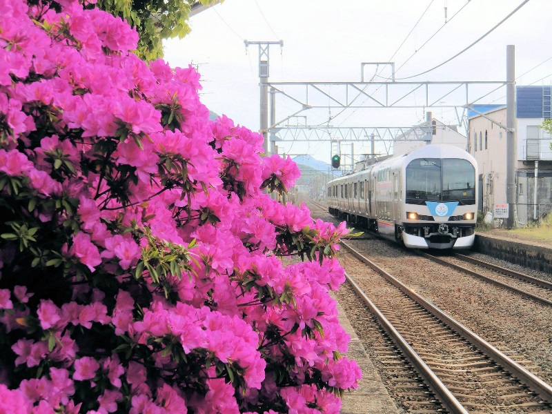 17分も遅れて通過する快速マリンライナー 鬼無駅 Jr撮影日記