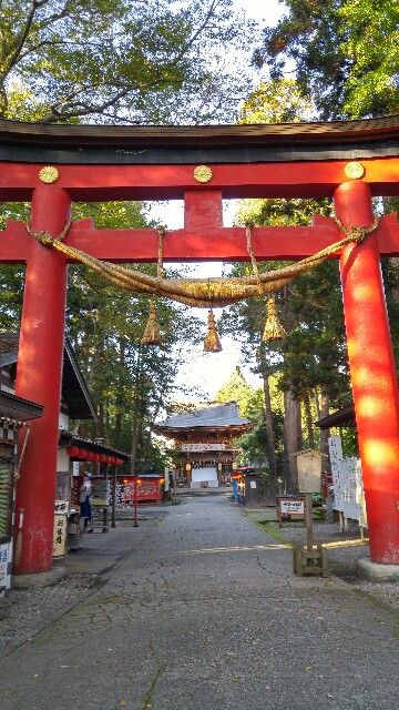 f:id:sefish:20151004223022j:image f:id:sefish:20151004223022j:image