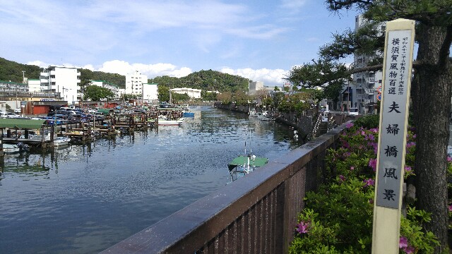 f:id:sefish:20160503190311j:image f:id:sefish:20160503190311j:image