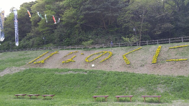 f:id:sefish:20160503190813j:image f:id:sefish:20160503190813j:image