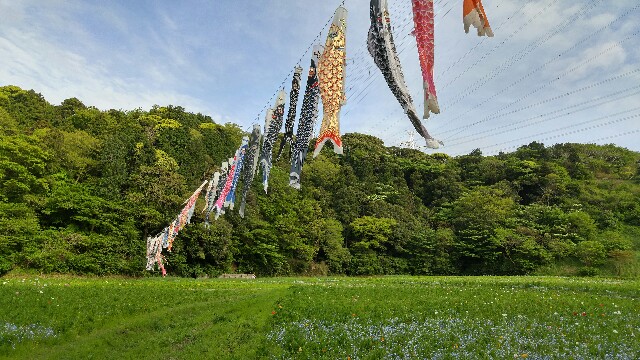 f:id:sefish:20160503190849j:image f:id:sefish:20160503190849j:image