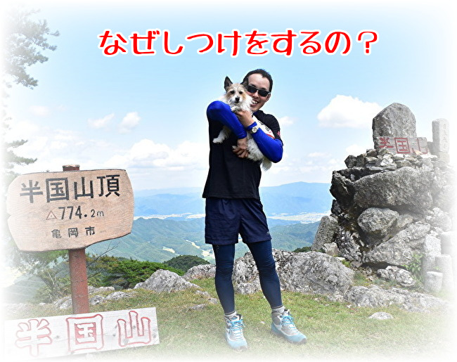 f:id:segata-dogschool:20190510115626j:plain