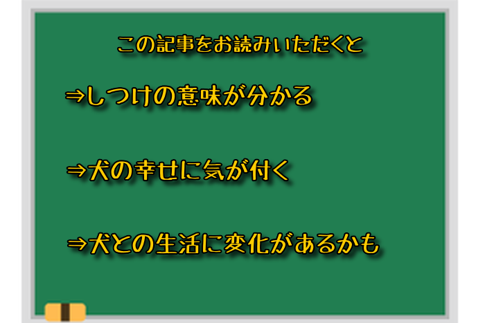 f:id:segata-dogschool:20190510115633p:plain