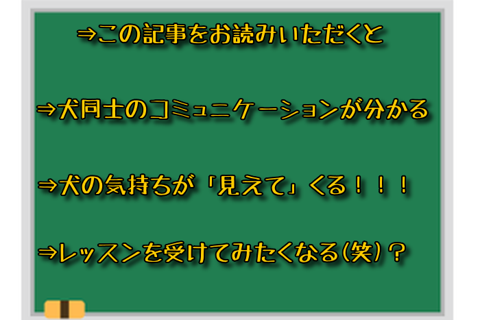 f:id:segata-dogschool:20190725154651p:plain