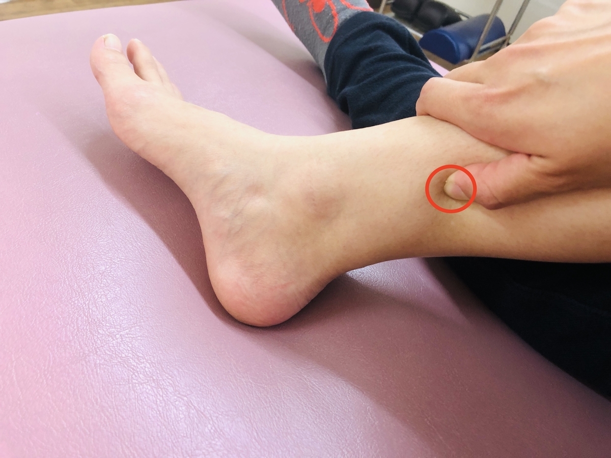 f:id:segawa-hone:20210708082000j:plain