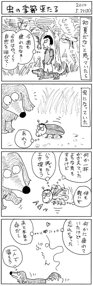 f:id:segawabiki:20100522214649j:image