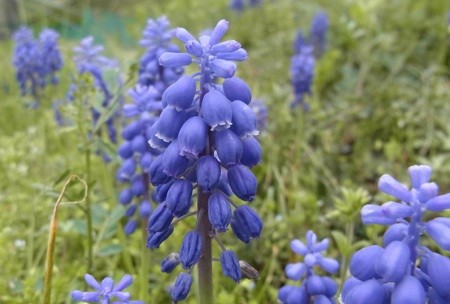 f:id:segawabiki:20120422221450j:image