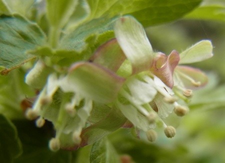 f:id:segawabiki:20120422221459j:image