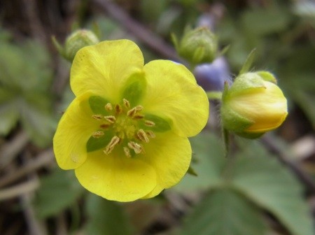 f:id:segawabiki:20120422221500j:image