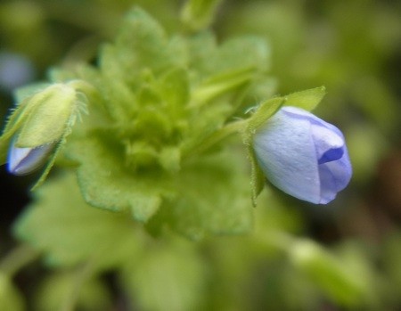 f:id:segawabiki:20120422221502j:image