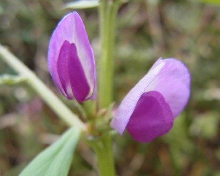 f:id:segawabiki:20120422221504j:image