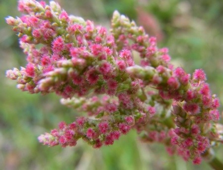 f:id:segawabiki:20120422221505j:image