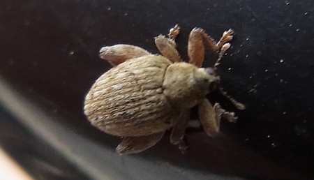 f:id:segawabiki:20120422221555j:image