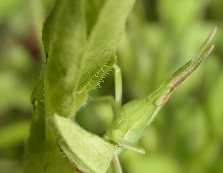 f:id:segawabiki:20130623214934j:image