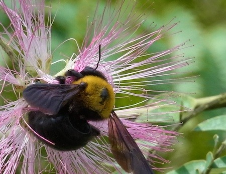 f:id:segawabiki:20130623214936j:image