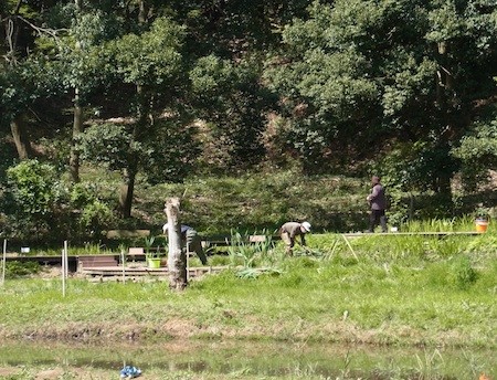 f:id:segawabiki:20140412231555j:image