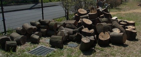 f:id:segawabiki:20140412231721j:image