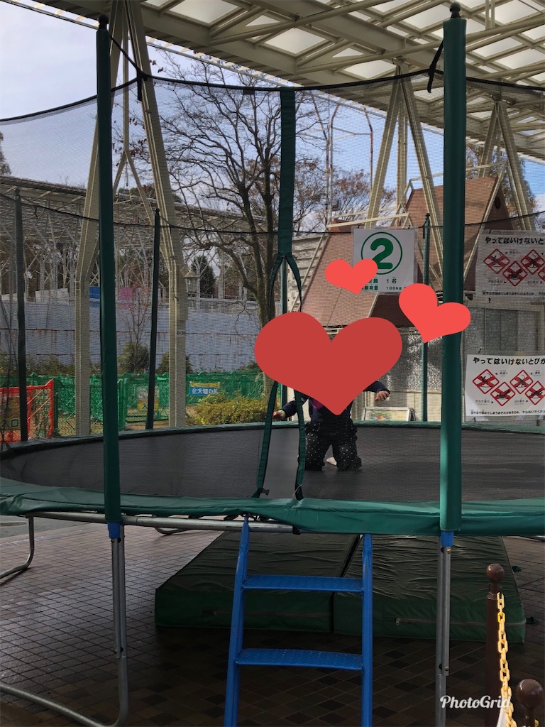 f:id:sehakun:20191127122322j:image f:id:sehakun:20191127122322j:image