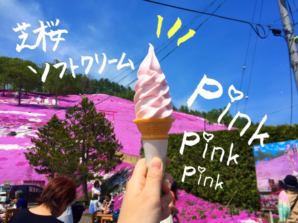 f:id:seiDeN:20160525204535j:plain f:id:seiDeN:20160525204535j:plain