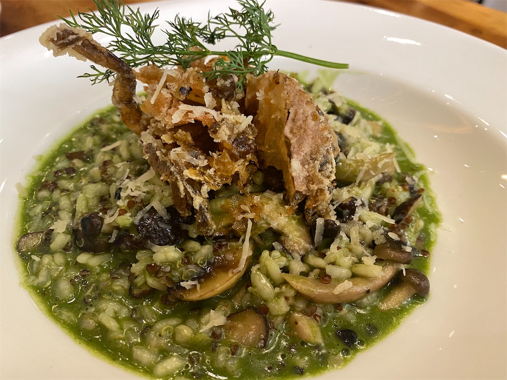 洋) ROCK SALT Hartamas またマレーシアに住むらしい。今度は猫も。