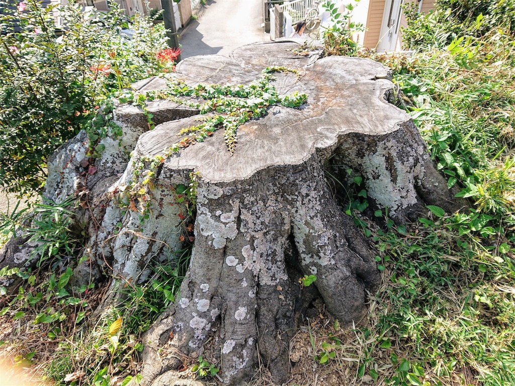 f:id:seibei414:20191224194513j:image f:id:seibei414:20191224194513j:image