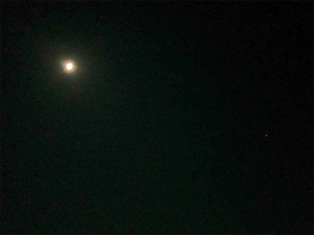 f:id:seibei414:20200114201305j:image f:id:seibei414:20200114201305j:image