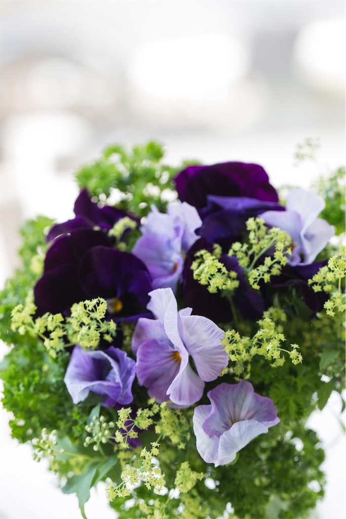 f:id:seibillion:20190322162743j:plain:w300 f:id:seibillion:20190322162743j:plain:w300