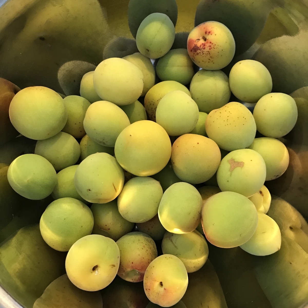 f:id:seibillion:20190616072350j:plain f:id:seibillion:20190616072350j:plain