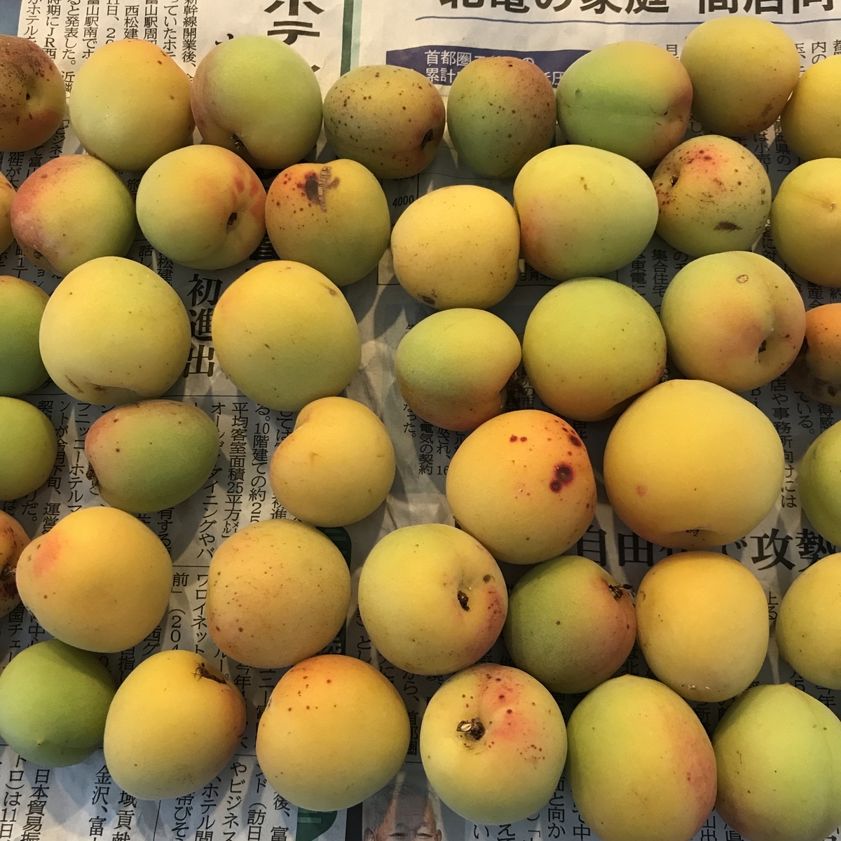 f:id:seibillion:20190616072420j:plain f:id:seibillion:20190616072420j:plain