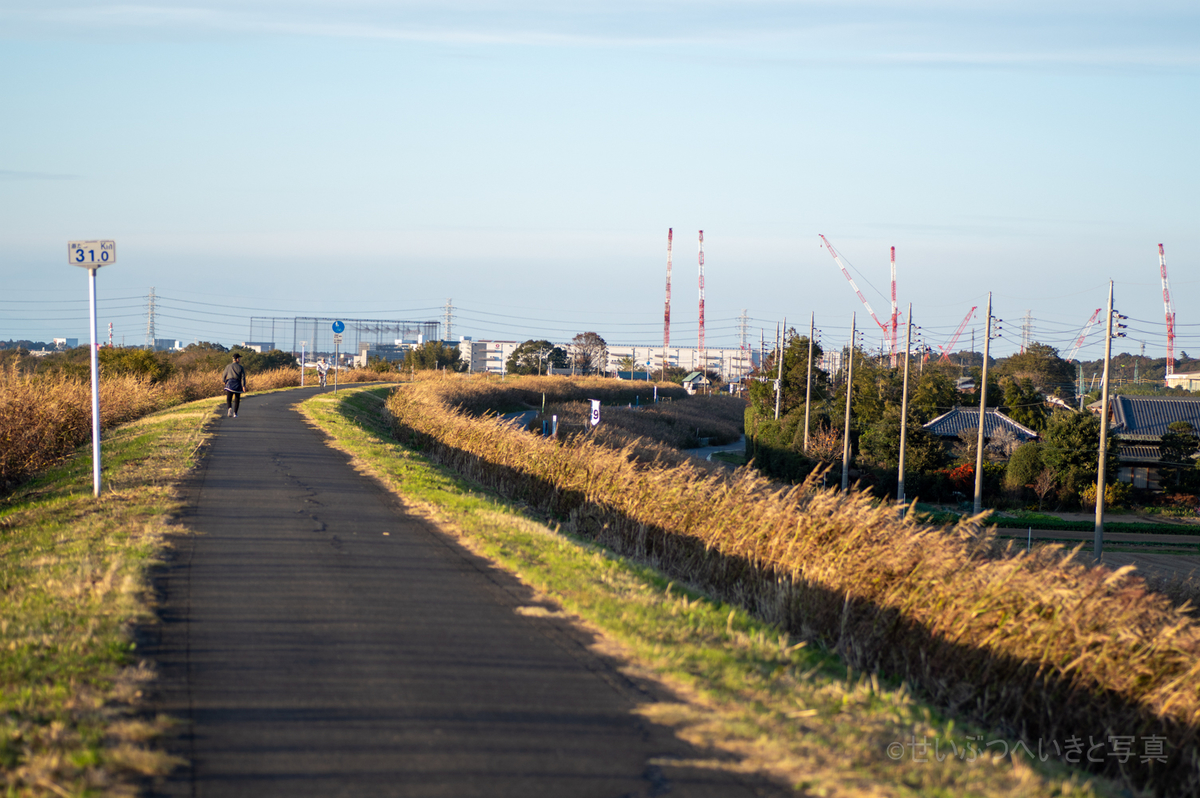 f:id:seibutuheiki:20191118004310j:plain f:id:seibutuheiki:20191118004310j:plain