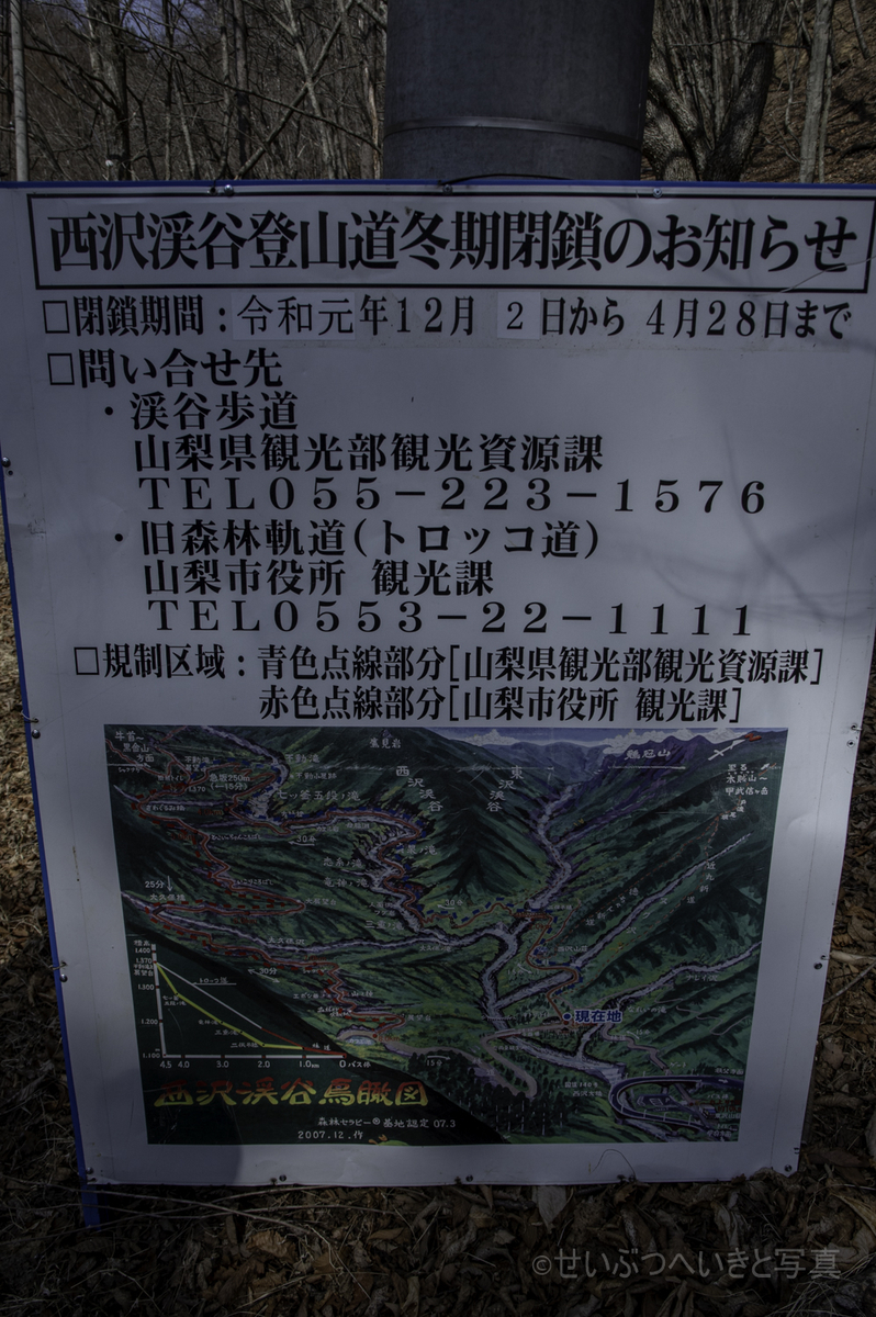 f:id:seibutuheiki:20200328151622j:plain f:id:seibutuheiki:20200328151622j:plain