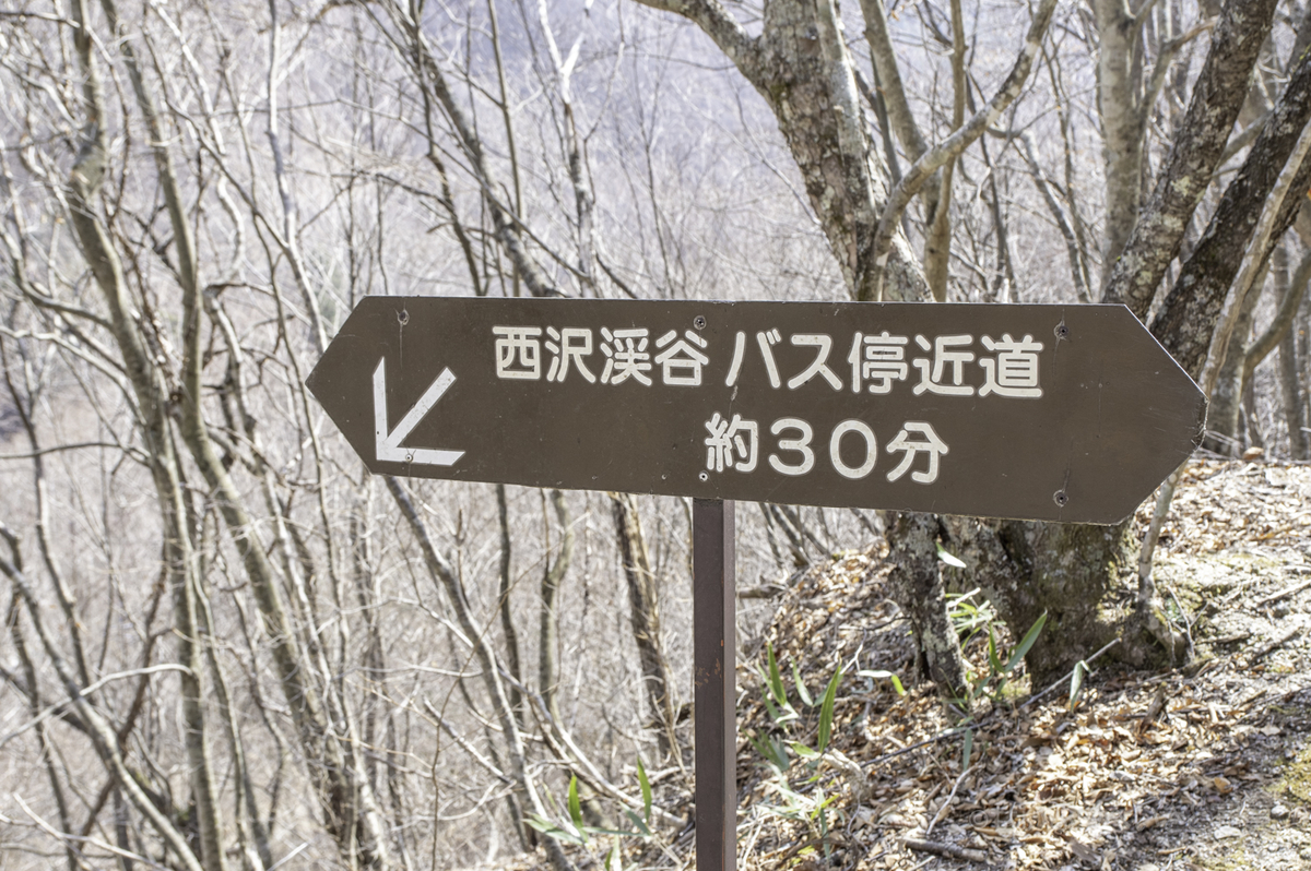 f:id:seibutuheiki:20200328154151j:plain f:id:seibutuheiki:20200328154151j:plain