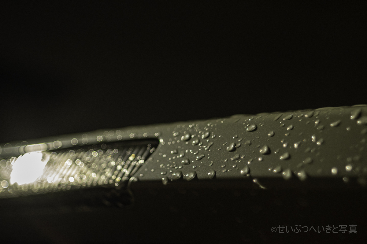 f:id:seibutuheiki:20201003200231j:plain
