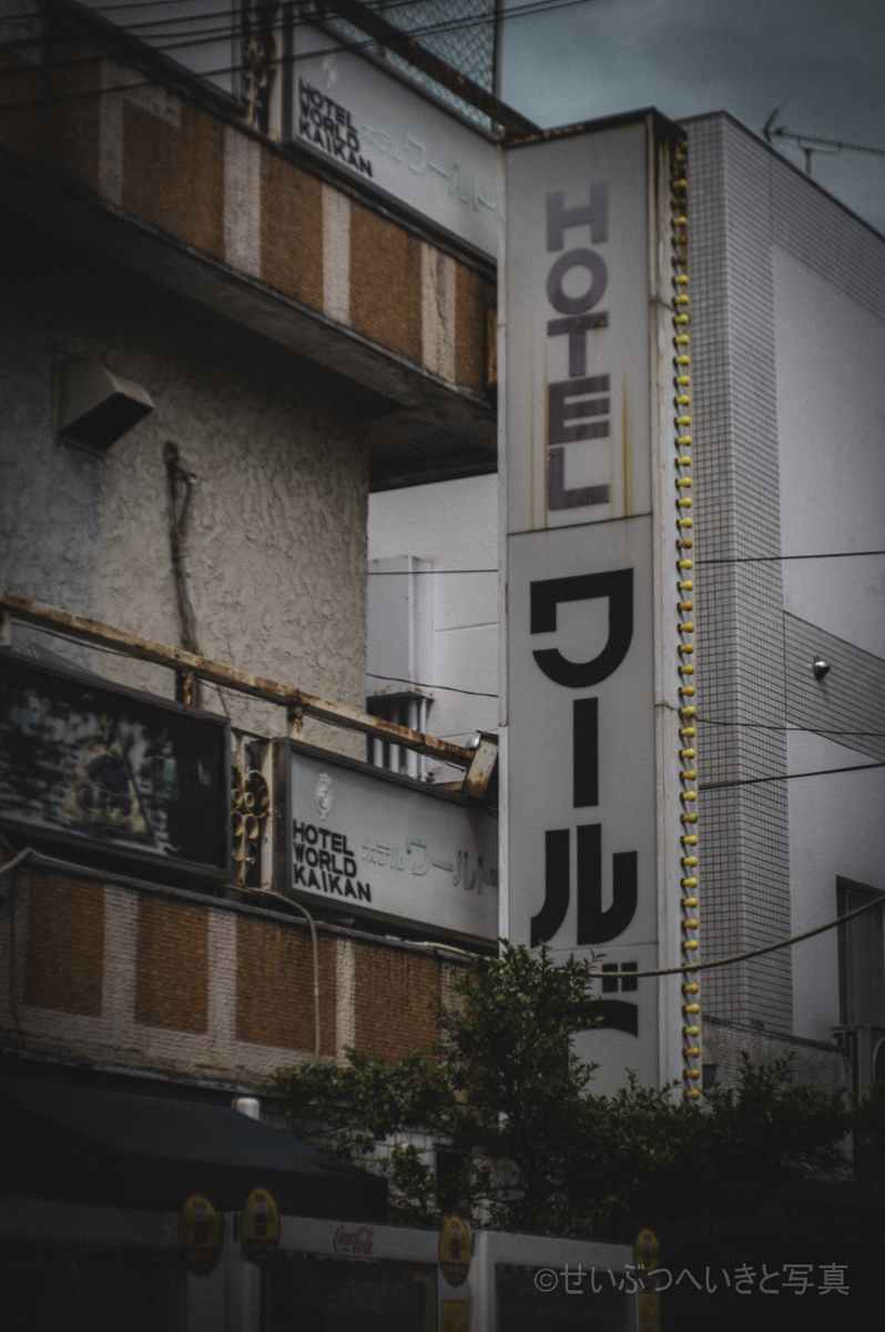 f:id:seibutuheiki:20210826183320j:plain