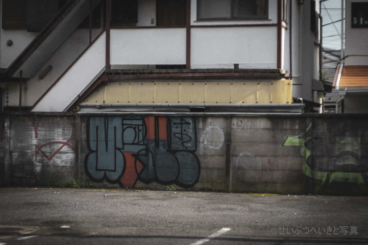 f:id:seibutuheiki:20210826192132j:plain