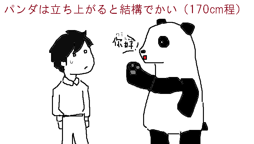今日からシャンシャンからのパンダ豆知識 セイジのおまとめ