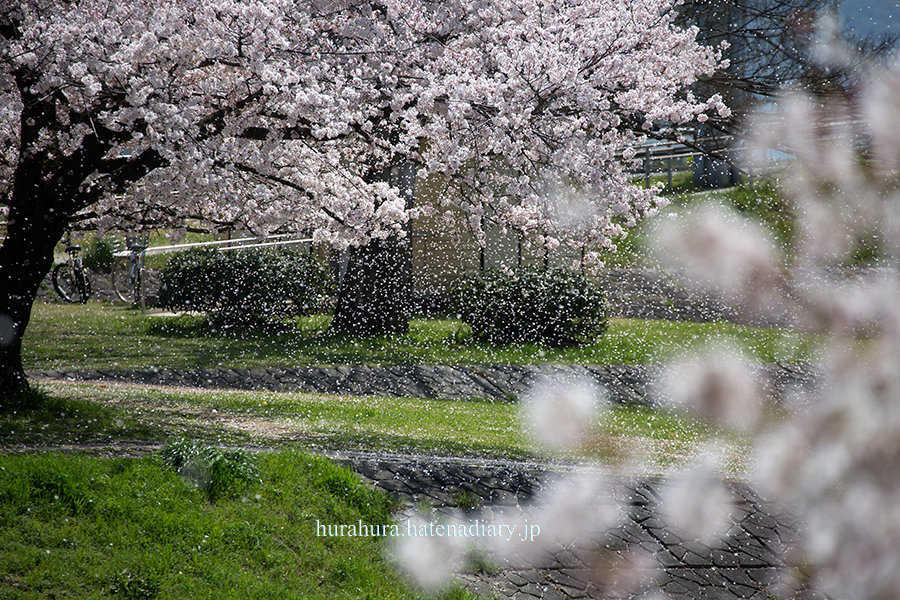 f:id:seicolin:20180331102524j:plain