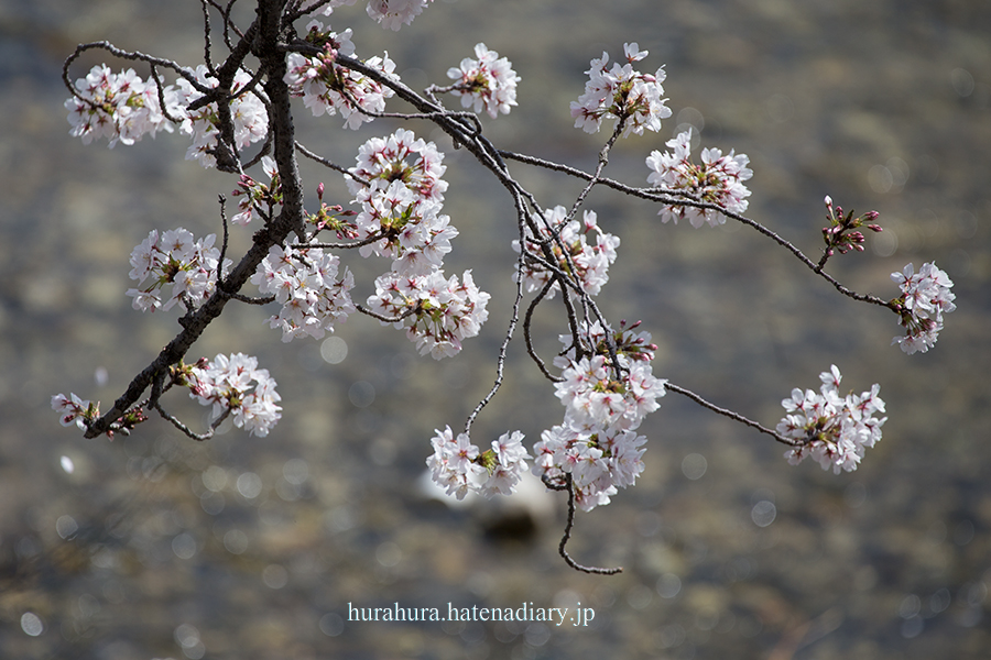 f:id:seicolin:20180331103934j:plain