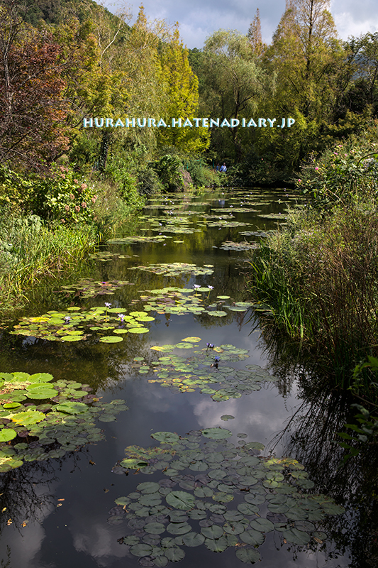 モネの庭マルモッタン