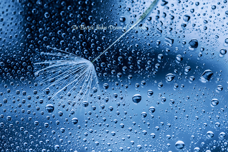 f:id:seicolin:20190106124534j:plain