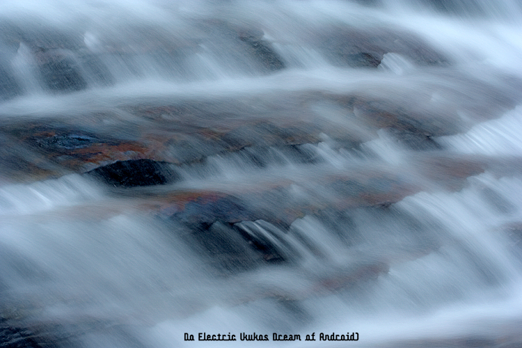 f:id:seicolin:20190108140048j:plain