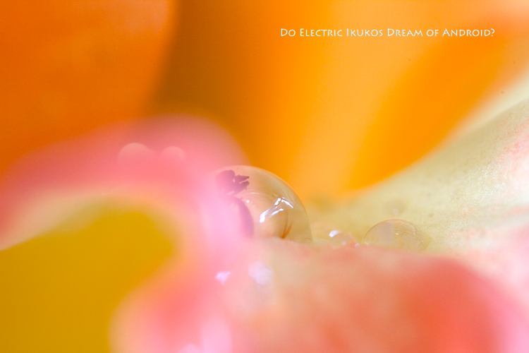 f:id:seicolin:20190108203210j:plain