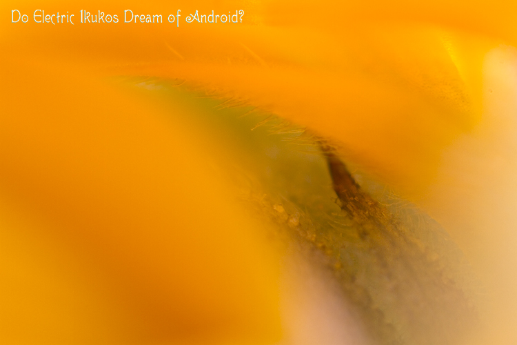 f:id:seicolin:20190108203430j:plain