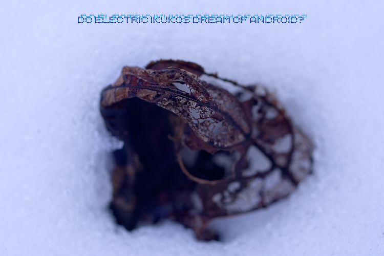 f:id:seicolin:20190108210140j:plain f:id:seicolin:20190108210140j:plain