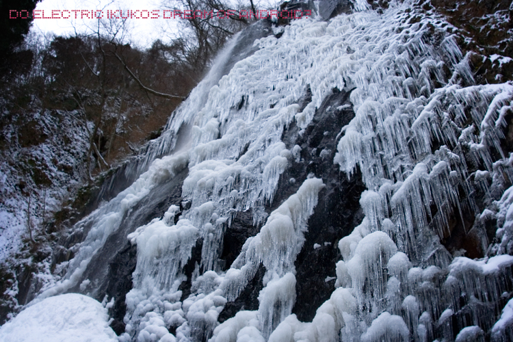 f:id:seicolin:20190113134612j:plain f:id:seicolin:20190113134612j:plain