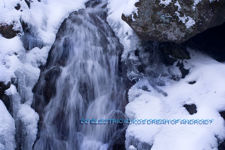 f:id:seicolin:20190113134643j:plain f:id:seicolin:20190113134643j:plain