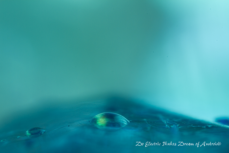 f:id:seicolin:20190113135654j:plain